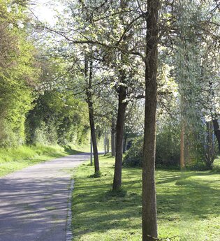Denk-Mal-Weg zur Ohrn | © Stadt Öhringen