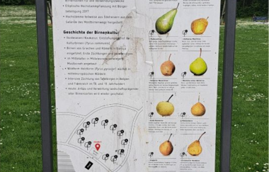 Der Böckinger Mostbirnenweg