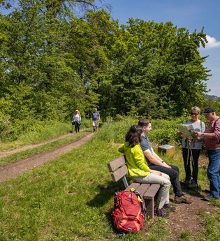 Dertinger Weinwanderweg | © TOURISMUS REGION WERTHEIM GmbH