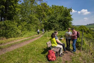 Dertinger Weinwanderweg | © TOURISMUS REGION WERTHEIM GmbH