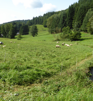 Die Konditionsrunde im Odenwald (Steinach- und Eiterbachtal) | © Landratsamt Rhein-Neckar-Kreis