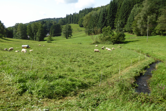 Die Konditionsrunde im Odenwald (Steinach- und Eiterbachtal) | © Landratsamt Rhein-Neckar-Kreis