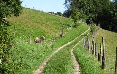 Die Konditionsrunde im Odenwald (Steinach- und Eiterbachtal) | © Landratsamt Rhein-Neckar-Kreis