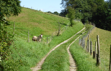 Die Konditionsrunde im Odenwald (Steinach- und Eiterbachtal) | © Landratsamt Rhein-Neckar-Kreis
