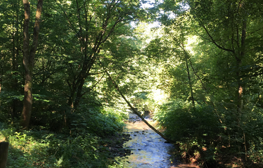 Die Konditionsrunde im Odenwald (Steinach- und Eiterbachtal) | © Landratsamt Rhein-Neckar-Kreis