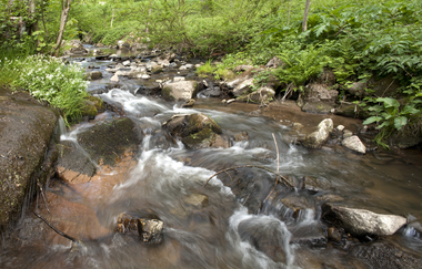 Die Konditionsrunde im Odenwald (Steinach- und Eiterbachtal) | © Landratsamt Rhein-Neckar-Kreis