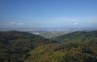 Die sportliche Odenwaldrunde | © Landratsamt Rhein-Neckar-Kreis