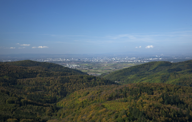 Die sportliche Odenwaldrunde | © Landratsamt Rhein-Neckar-Kreis