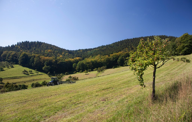 Die sportliche Odenwaldrunde | © Landratsamt Rhein-Neckar-Kreis