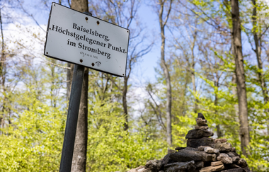 Drei Tage Graveltour im Kraichgau-Stromberg - Tag 1 - Von Mühlacker nach Freudental | © Land der 1000 Hügel - Kraichgau-Stromberg