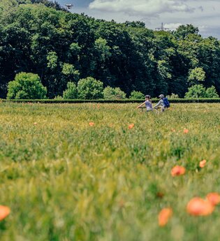 Radfahrer auf dem Drei-Täler-Radweg | © Touristikgemeinschaft Odenwald e.V.