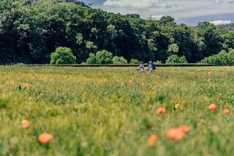 Radfahrer auf dem Drei-Täler-Radweg | © Touristikgemeinschaft Odenwald e.V.