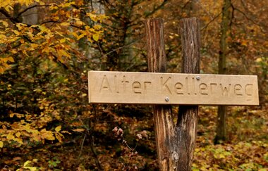 Durch den Alten Keller von Sternenfels nach Diefenbach | © Land der 1000 Hügel - Kraichgau-Stromberg