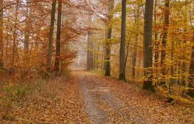 Durch den Alten Keller von Sternenfels nach Diefenbach | © Land der 1000 Hügel - Kraichgau-Stromberg