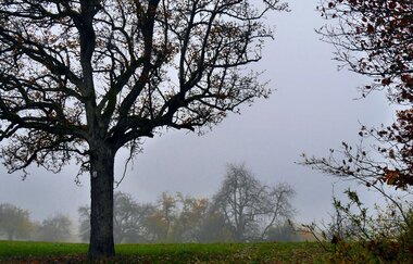 Durch den Alten Keller von Sternenfels nach Diefenbach | © Land der 1000 Hügel - Kraichgau-Stromberg