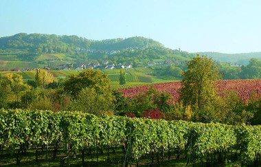 Durch die schwäbische Toskana | © Touristikgemeinschaft Hohenlohe, Künzelsau / Hartmut Müller