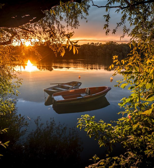 Durch die Schwetzinger Hardt | © Stadt Schwetzingen