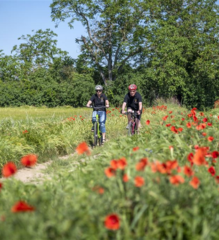Durch die Schwetzinger Wiesen | © Tourist Information Schwetzingen