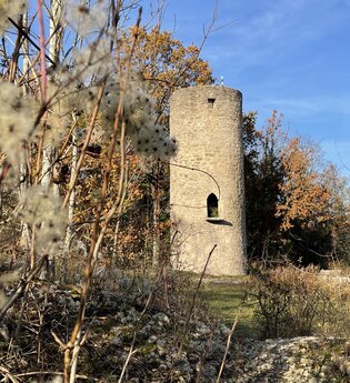 Durch die Weinberge zum Wartturm und Winterberg | © Touristinfo Weikersheim