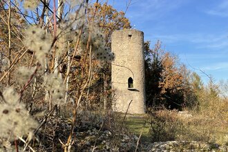 Durch die Weinberge zum Wartturm und Winterberg | © Touristinfo Weikersheim
