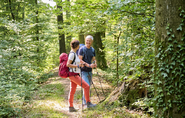 Wandernde im Wald | © Touristikgemeinschaft Hohenlohe e. V. | Florian Trykowski