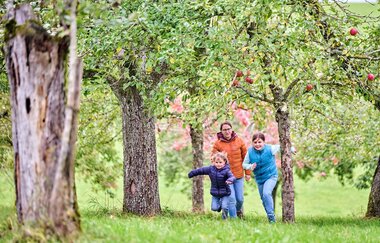 Familie auf Streuobstwiese | © Touristikgemeinschaft Hohenlohe e. V. | Florian Trykowski