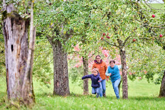 Familie auf Streuobstwiese | © Touristikgemeinschaft Hohenlohe e. V. | Florian Trykowski