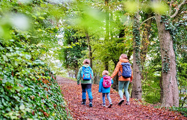 Familie wandert im Wald | © Touristikgemeinschaft Hohenlohe e. V. | Florian Trykowski