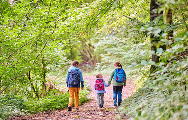 Familie wandert auf Waldweg | © Touristikgemeinschaft Hohenlohe e. V. | Florian Trykowski