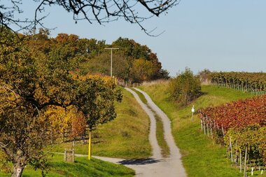 © Land der 1000 Hügel - Kraichgau-Stromberg