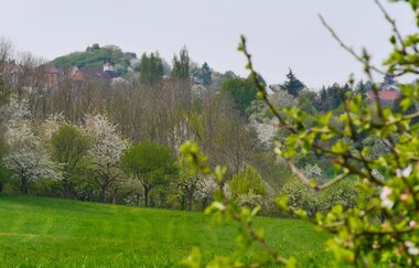 Durchs Blumenwiesental | © Land der 1000 Hügel - Kraichgau-Stromberg