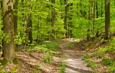 Durchs Blumenwiesental | © Land der 1000 Hügel - Kraichgau-Stromberg