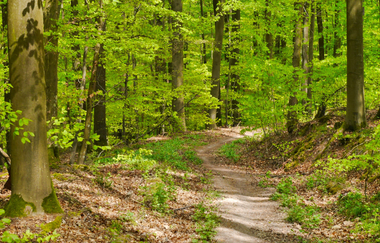 Durchs Blumenwiesental | © Land der 1000 Hügel - Kraichgau-Stromberg
