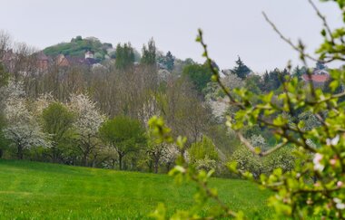 Durchs Blumenwiesental | © Land der 1000 Hügel - Kraichgau-Stromberg