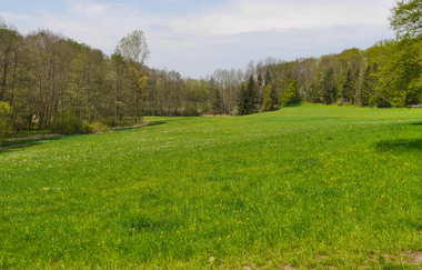 Durchs Blumenwiesental | © Land der 1000 Hügel - Kraichgau-Stromberg