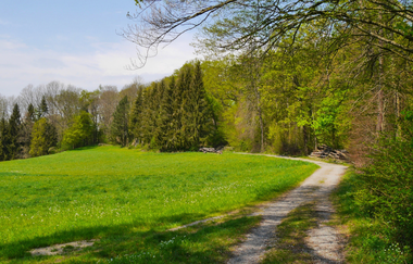 Durchs Blumenwiesental | © Land der 1000 Hügel - Kraichgau-Stromberg