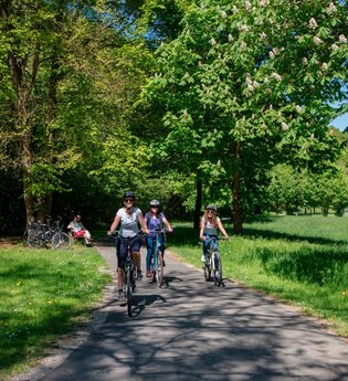 E-Bike-Tour: Vorbei an Brunnen, Wiesen und Wäldern - E1 | © TOURISMUS REGION WERTHEIM GmbH