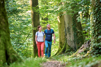 Wanderer im Wald | © Touristikgemeinschaft Hohenlohe e. V. | Florian Trykowski