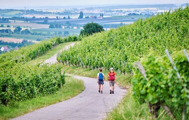 Wanderer im Weinberg | © Touristikgemeinschaft Hohenlohe e. V. | Florian Trykowski