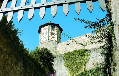 Eintauchen in den Wald | © Touristikgemeinschaft Hohenlohe e. V. | Marion Schlund