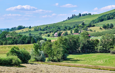 Landschaft im Brettach Tal bei Geddelsbach | © Touristikgemeinschaft Hohenlohe e. V. | Florian Trykowski