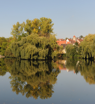 Entlang der Enz | © Land der 1000 Hügel - Kraichgau-Stromberg
