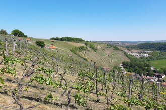 Enzschleifen-Rundweg | © Land der 1000 Hügel - Kraichgau-Stromberg