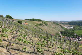 Enzschleifen-Rundweg | © Land der 1000 Hügel - Kraichgau-Stromberg