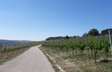 Enzschleifen-Rundweg | © Land der 1000 Hügel - Kraichgau-Stromberg