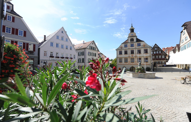 Enzschleifen-Rundweg | © Stadt Vaihingen an der Enz
