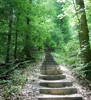 EP1 - Rund um den Ottilienberg | © Land der 1000 Hügel - Kraichgau-Stromberg