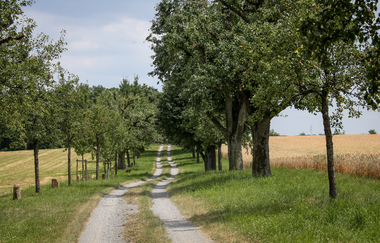 EP1 - Rund um den Ottilienberg | © Land der 1000 Hügel - Kraichgau-Stromberg