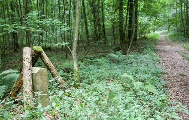 EP1 - Rund um den Ottilienberg | © Land der 1000 Hügel - Kraichgau-Stromberg