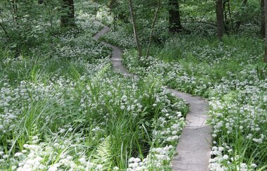 EP1 - Rund um den Ottilienberg | © Land der 1000 Hügel - Kraichgau-Stromberg